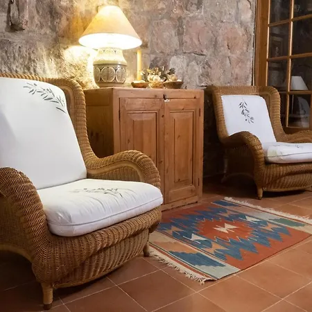Cal Manso Holiday home