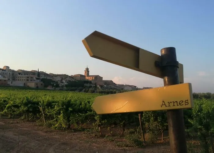 Cal Manso بيت للعطل Arnés